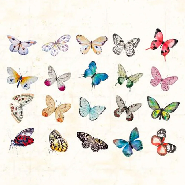 Decorative Plastic Stickers - Variety Butterflies