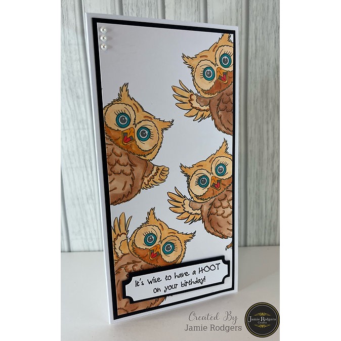 Jamie Rodgers Crafts Deirdre The Disco Diva - Owl Stamp & Die Set